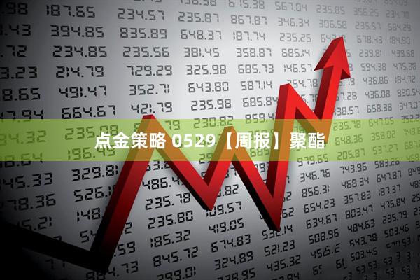 点金策略 0529【周报】聚酯