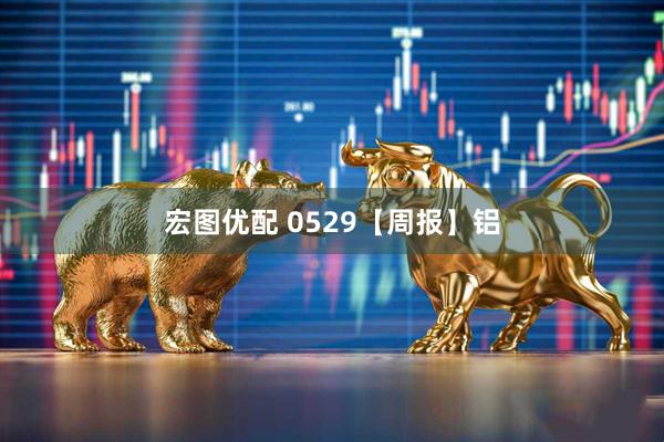 宏图优配 0529【周报】铝