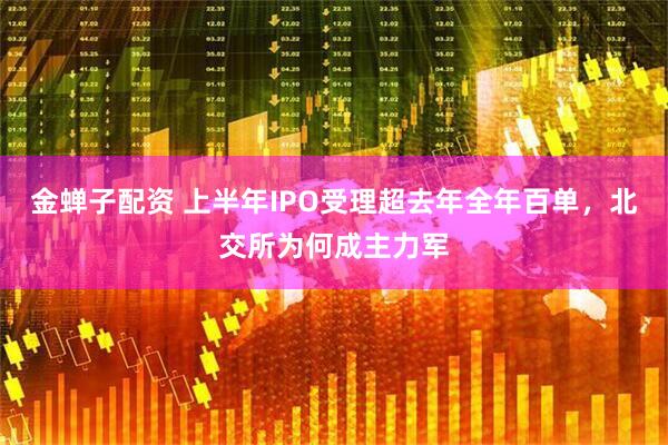 金蝉子配资 上半年IPO受理超去年全年百单，北交所为何成主力军