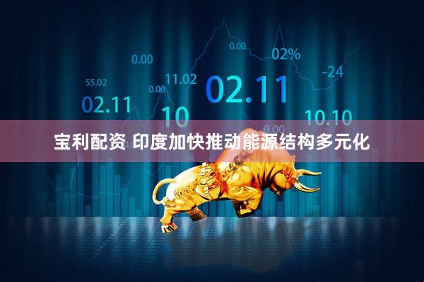 宝利配资 印度加快推动能源结构多元化