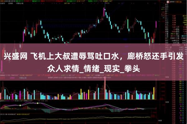 兴盛网 飞机上大叔遭辱骂吐口水，廊桥怒还手引发众人求情_情绪_现实_拳头