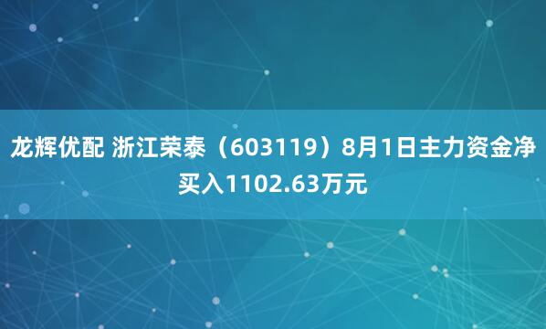 龙辉优配 浙江荣泰（603119）8月1日主力资金净买入1102.63万元